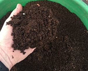 vermicompost powder