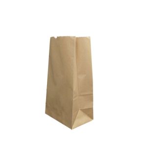 10 X 13 Inch Brown Kraft Paper Bag