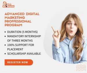 Advanced digital marketing professional program