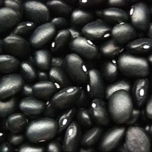 Big Black Kidney Bean