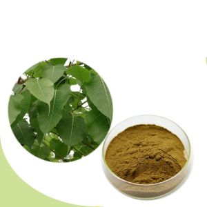 Fig Leaves Powder