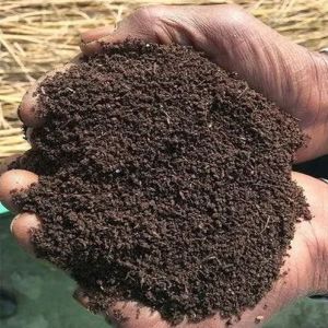 10 Kg Biofasst Vermicompost Fertilizer