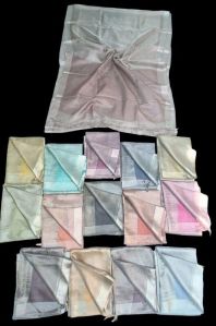 Pure Tussar Tissue Saree