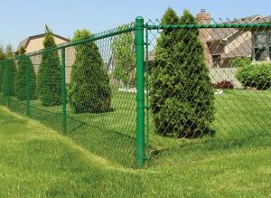 Chain Link Fence