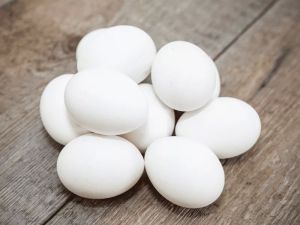 Chicken White Shell Eggs