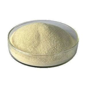 Sodium Alginate Powder