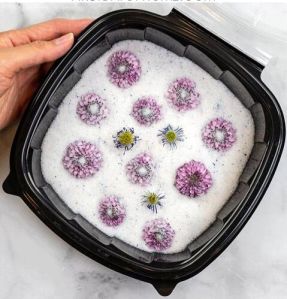 Drying Flowers with Silica Gel