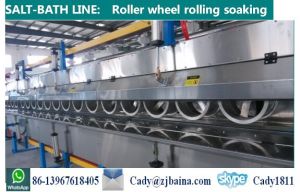 Salt Bath Vulcanization Line