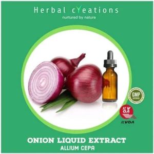 Onion Liquid Extract