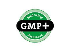 GMp Certification in Rurkee, Haridwar