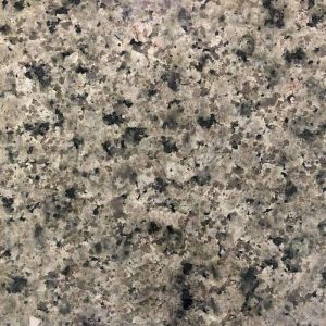 Nosera Green Granite Slab