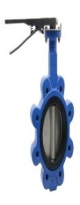 Lug Type Butterfly Valve