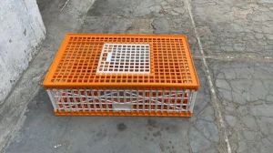 Poultry Bird Shifting Cage