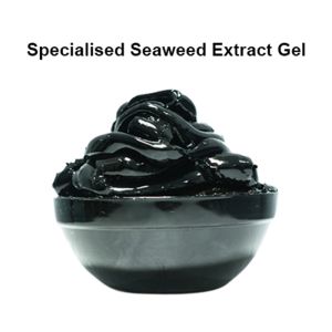 Spl Seaweed gel