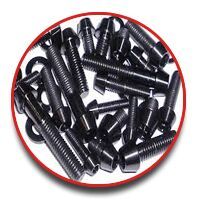 Carbon Steel Fasteners