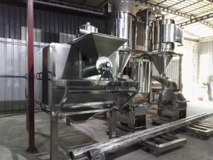 Semi Automatic Vegetable Processing Plant