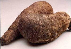 Fresh Yams Fresh Yams