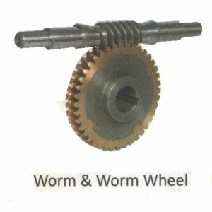 Worm Wheel