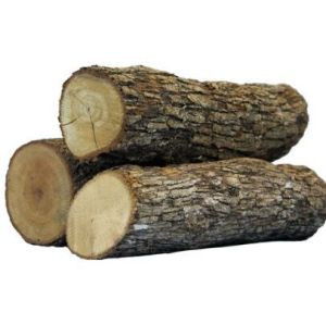 woods logs