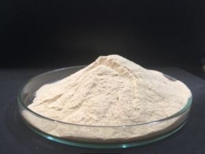 Amino Acid Spray Dry Powder