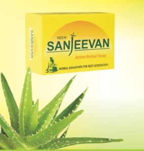 Aloe Vera Sanjeevan Herbal Soap