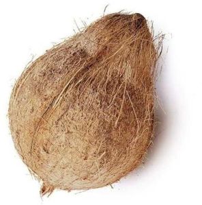 High Quality Husked Coconut