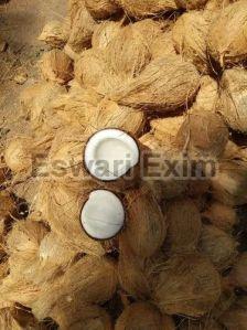 Indian Fresh Pollachi Coconut