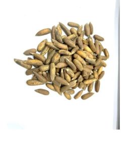 Chilgoze Pine Nuts
