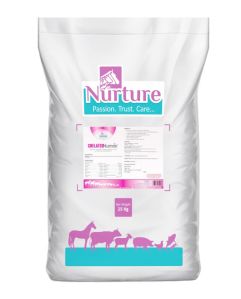 Chelated Nurmin (Mixture of Essential Vitamins & Chelated Minerals with Lactobacillus sporogenes)