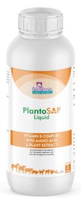 Plantosap Liquid (Vitamin B Complex With Amino Acid & Plant Extract)