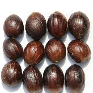 Shelled Nutmeg