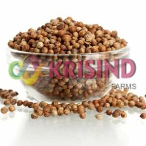 coriander seeds