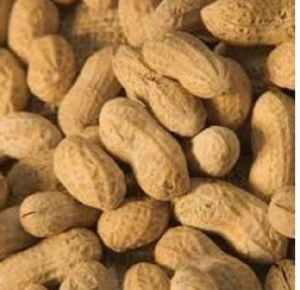 Whole Groundnut