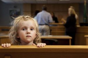 Child Custody Case