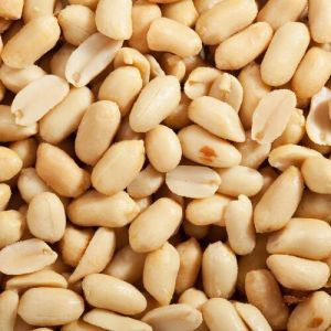 Blanched Bold Peanuts