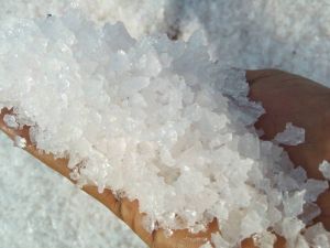 Sea Food Processing Salt