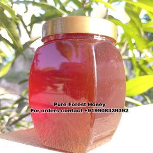 Pure Forest Honey