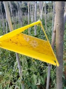 PP Yellow Delta Insect Trap