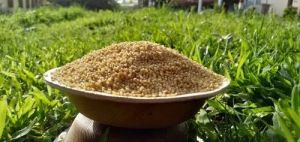 Unpolished Foxtal Millet Rice