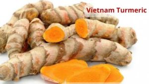 Turmeric Vietnam