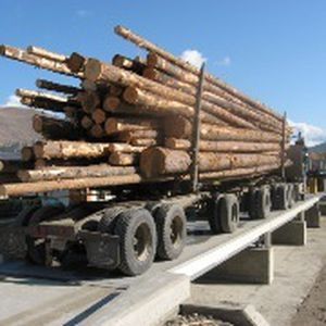 Wood Industry Weighbridge