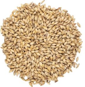 Caramel Pale Malt
