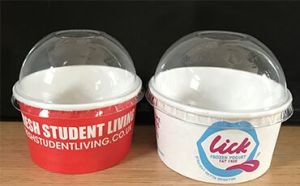 Paper Ice Cream Tubs