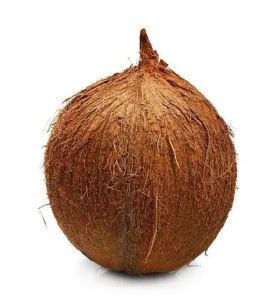Brown Husked Coconut