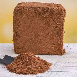 Rectangular Coco Peat Blocks, For Agriculture Use, Block Size : 30x30x12cm, 32x32x14cm, 34x34x16cm