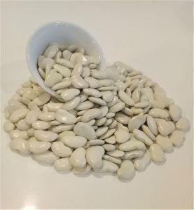 White Dried Organic Lima Beans (Butter Beans), For Agriculture Use, Packaging Size : 10 Kg