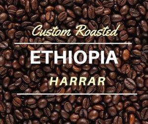 ethiopian coffee Bean
