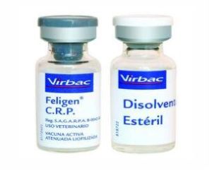 Feligen CRP 1ml