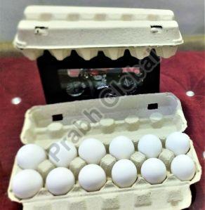 12 Egg Hot Pressed Paper Pulp Tray with Lock