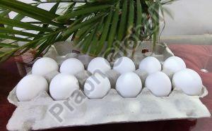 White Paper 12 Piece Egg Tray